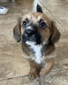 Chiquita