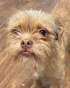 Gunther