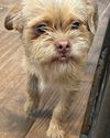 Gunther