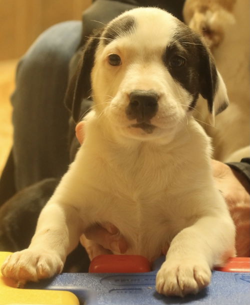Winnie