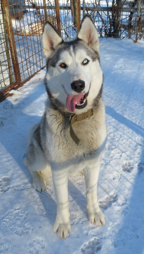 Michiko
