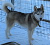 Michiko