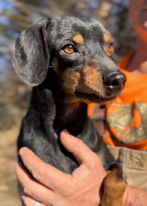 Roscoe