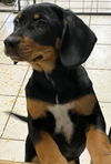 Lenny