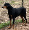 Charlene