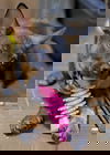 Lazzo
