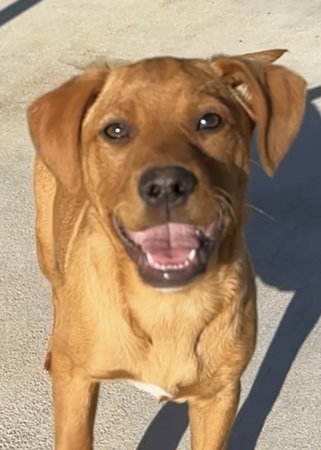 Sadie