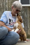 Scout