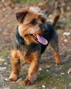 Winston