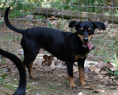 Lilly