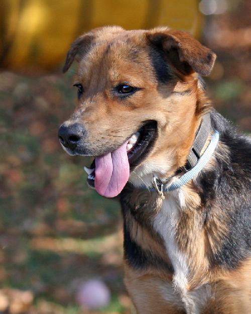 Remus