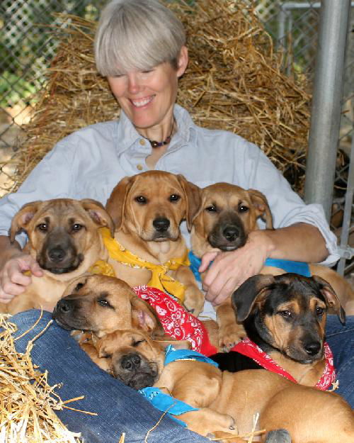 Heads up on the Adorable A Litter