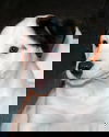 Nilla