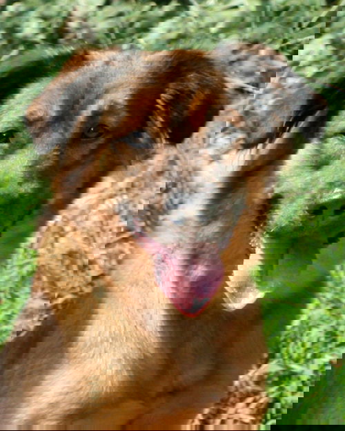 Mia