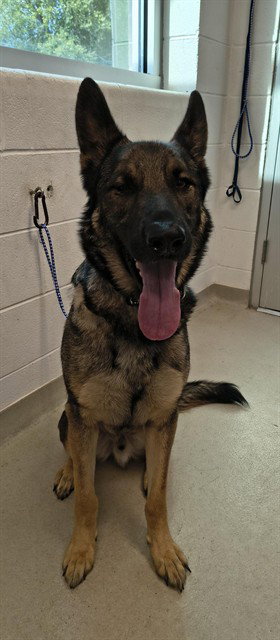 KAISER
