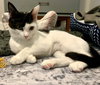 Frosty (9760) - Photo 1