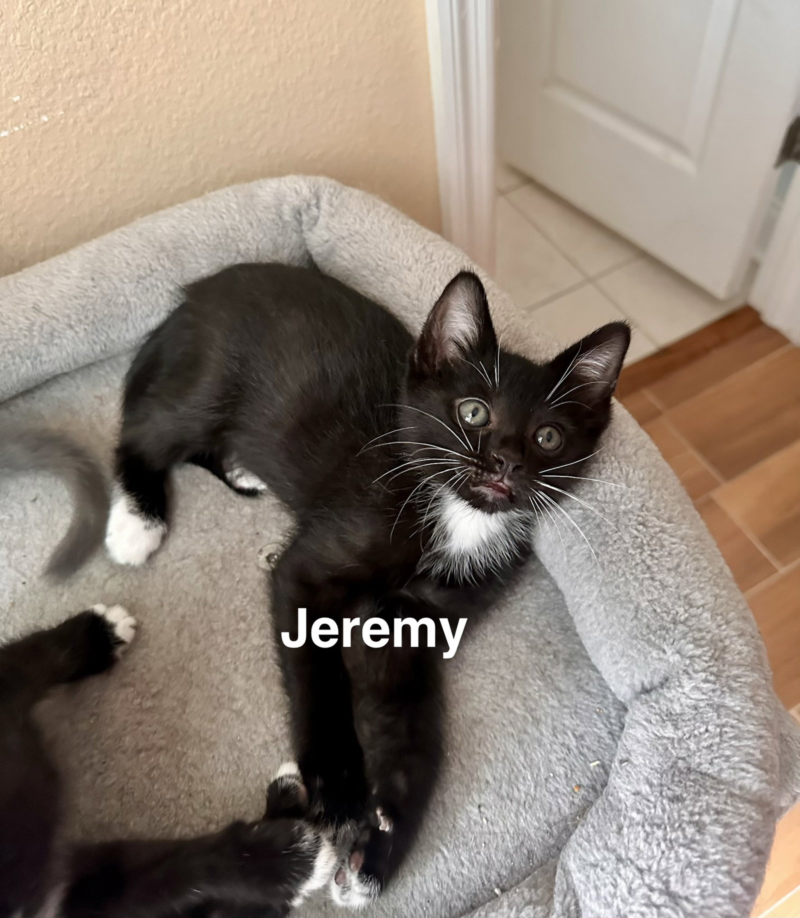 Jeremy (4988)