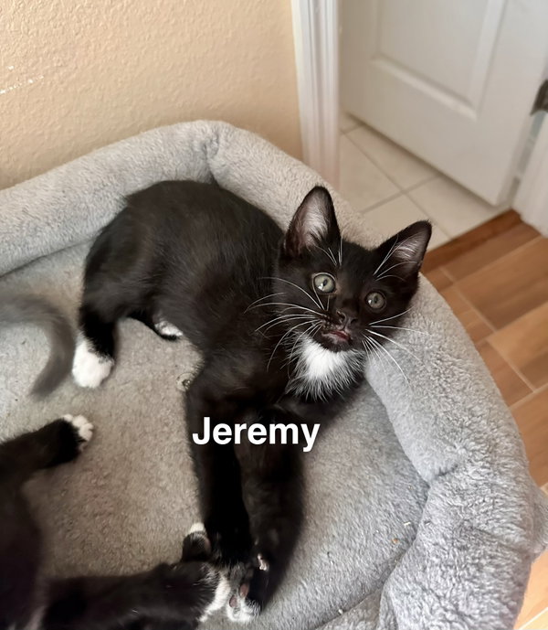 Jeremy (4988)