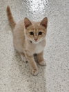 Zion @ The Cat's Brew - Photo 3