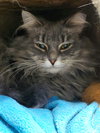 Loretta - Photo 2