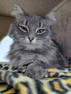 Loretta - Photo 1