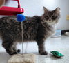 Loretta - Photo 3