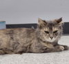 Lucille - Photo 8