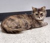 Lucille - Photo 6