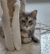 Lucille - Photo 5