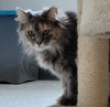 Lucille - Photo 4