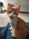 Sunny @ The Cat's Brew - Photo 2