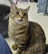 Dabney @ The Cat's Brew - Photo 7