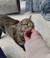 Dabney @ The Cat's Brew - Photo 8