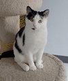 Filbert @ The Cat's Brew - Photo 1