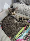 Zander - Photo 3