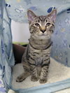 Zander - Photo 1