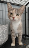 Zeva - Photo 2