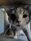 Zeva - Photo 4