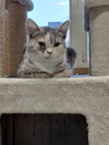 Zeva - Photo 5