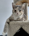 Zeva - Photo 1