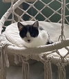 Lenny - Photo 4