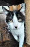 Lenny - Photo 3