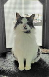 Bucky - Photo 3