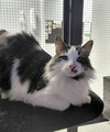 Bucky - Photo 4