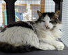 Bucky - Photo 2