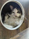 Bucky - Photo 5