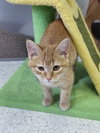 Albert - Photo 4