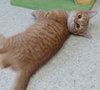 Albert - Photo 3