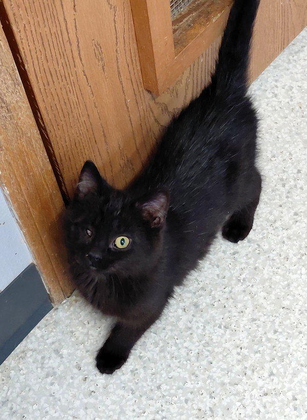 Percy
