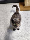 Tess - Photo 2